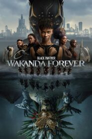 Black Panther: Wakanda Forever (2022) Hindi Dubbed Original HD