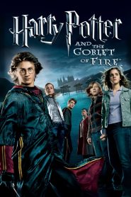 Harry Potter and the Goblet of Fire (2005) Hindi + English 4K